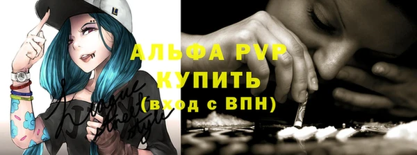 гашик Богородицк