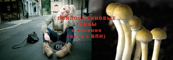 гашик Богородицк