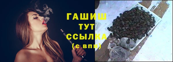 гашик Богородицк
