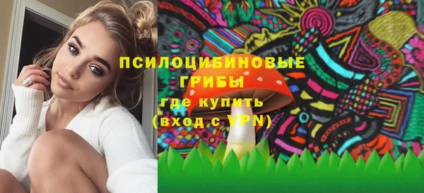 стафф Богданович