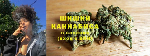 стафф Богданович
