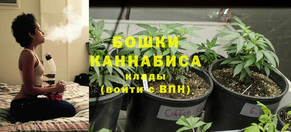 молекула духа Пролетарск