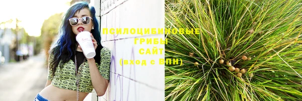 стафф Богданович