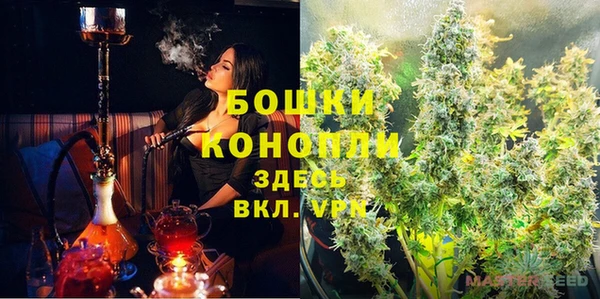 стафф Богданович